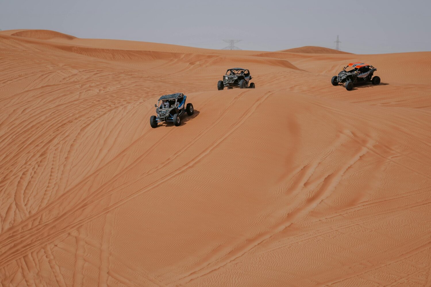 Evening Safari with Dune Buggy Tour-3