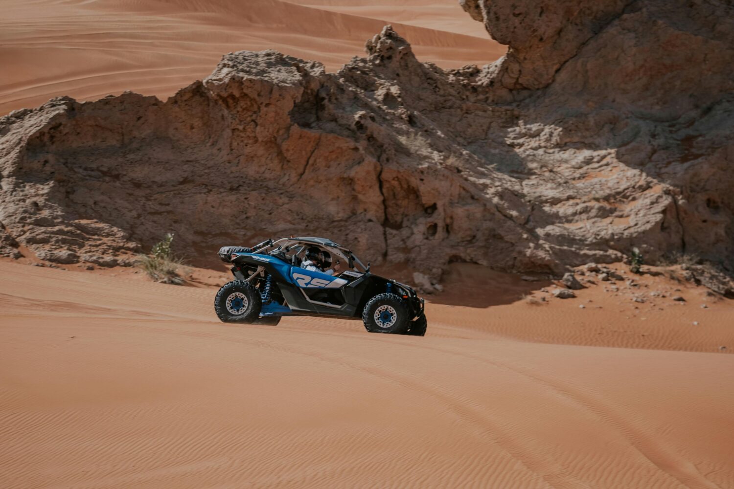 Evening Safari with Dune Buggy Tour-4