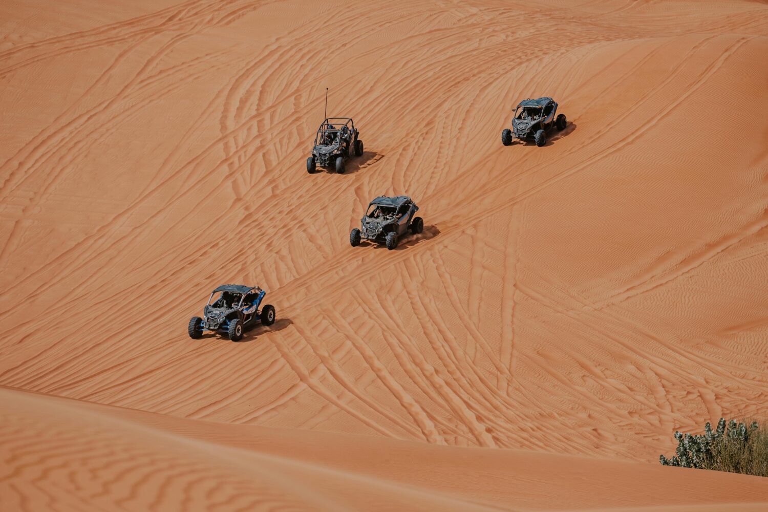 Evening Safari with Dune Buggy Tour-5