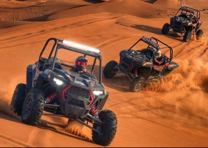 Evening Safari with Dune Buggy Tour