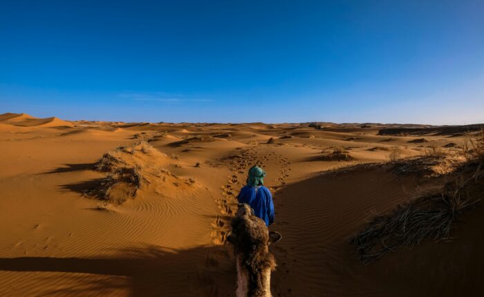 A Morning Experience of Camel Trekking in the Lahbab Desert-feature