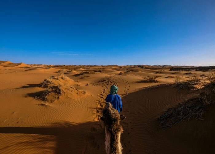 A Morning Experience of Camel Trekking in the Lahbab Desert-feature