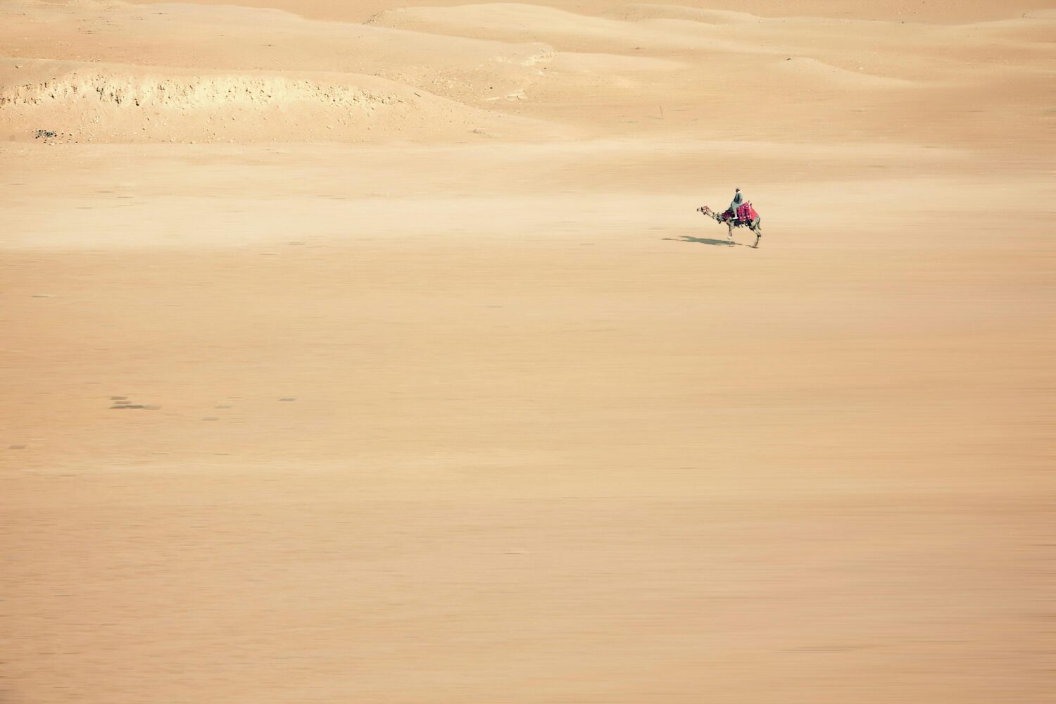 A Morning Experience of Camel Trekking in the Lahbab Desert6