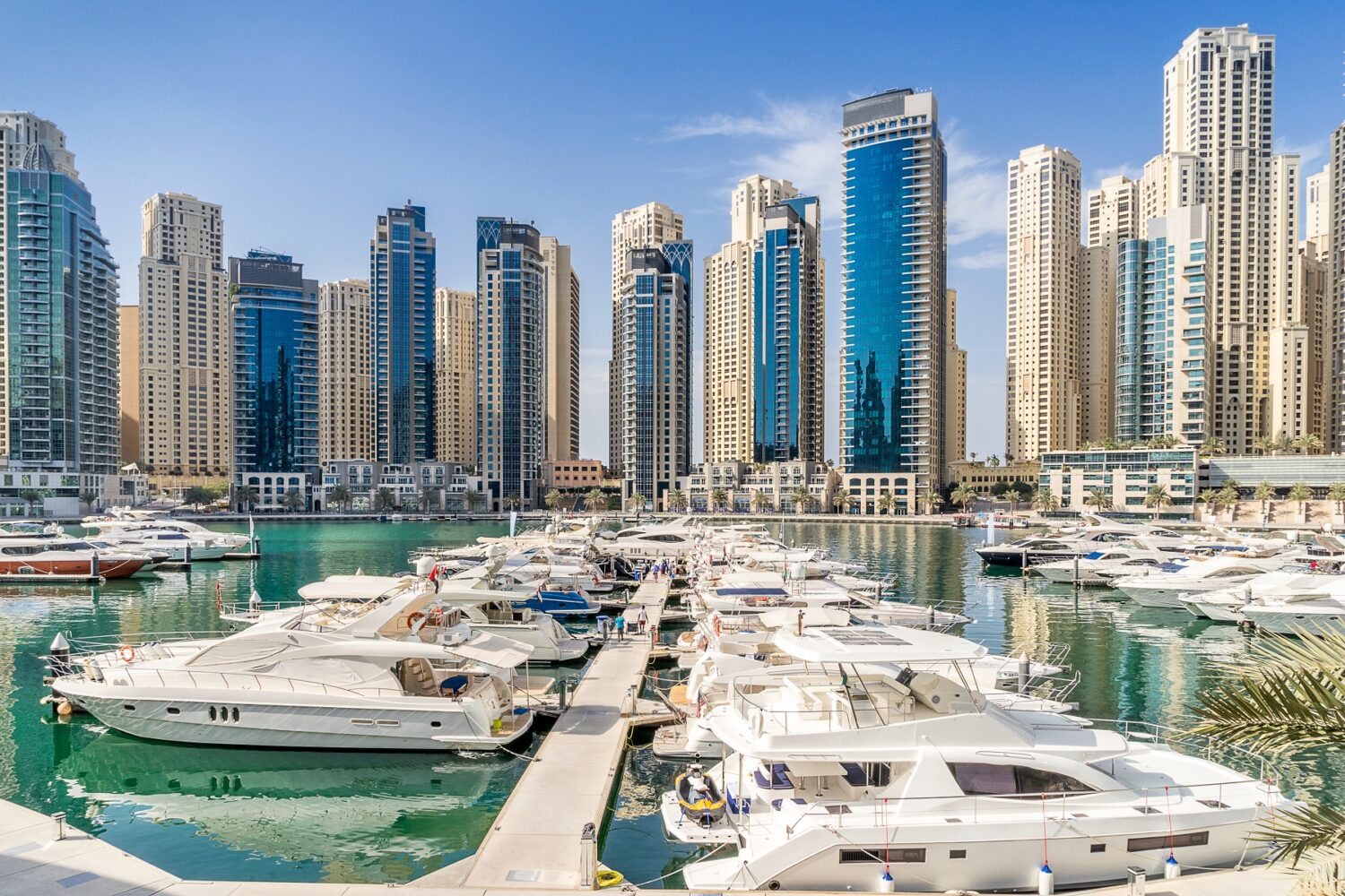 a dock with boats in it and a city skyline in the background