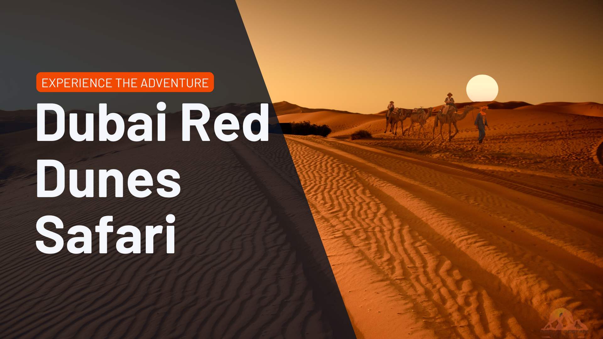 Dubai Red Dunes Safari - Dream Destiny Tourism