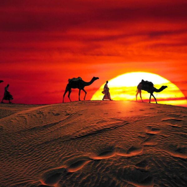 Evening Desert Safari - Dream Destiny Tourism