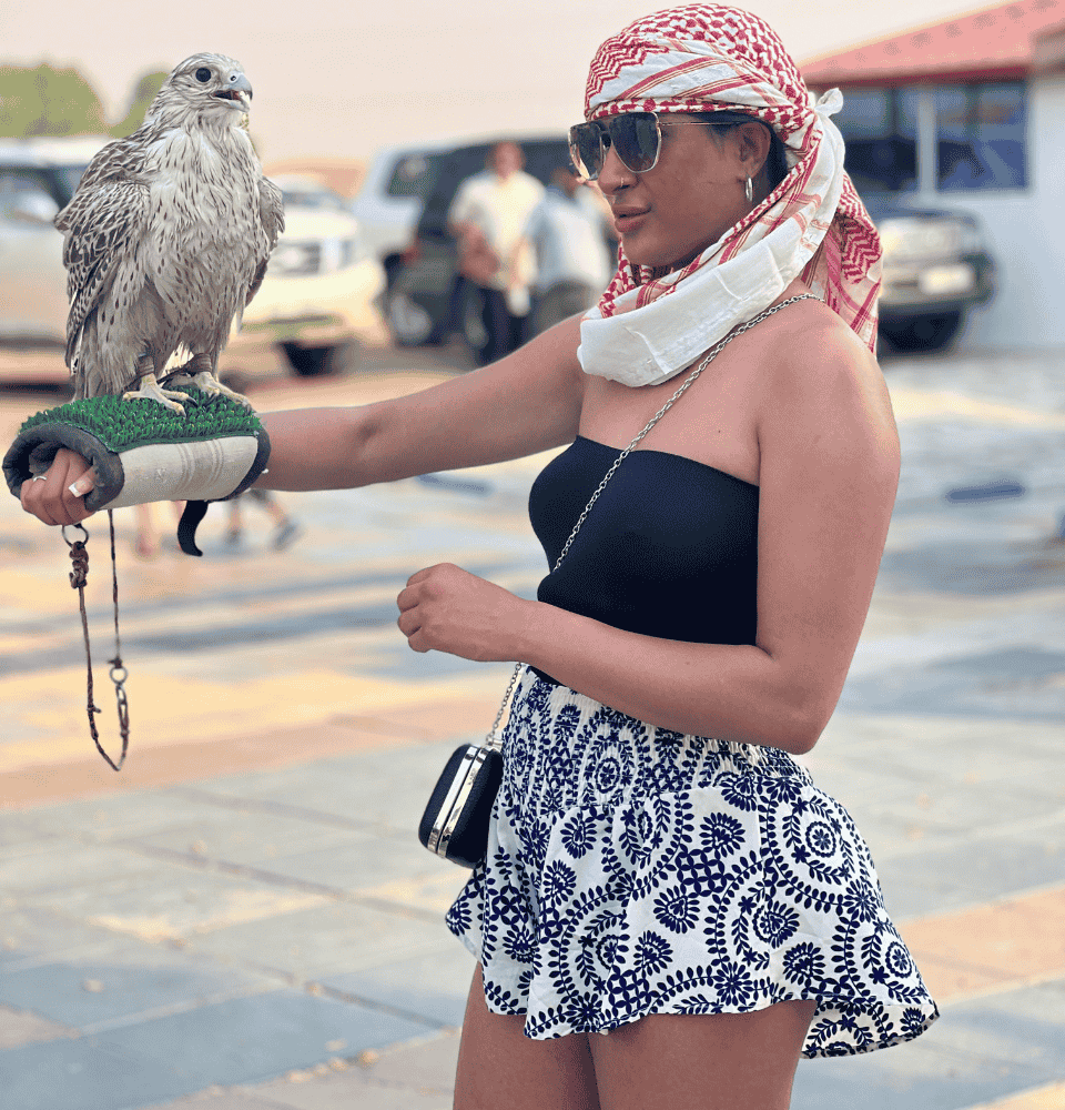 Dream destiny tourism