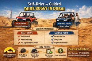 Self-Drive vs Guided Dune Buggy in Dubai – Which Is Better?