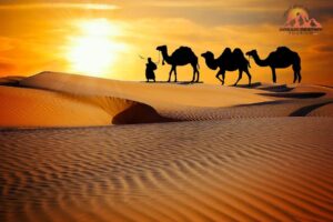 morning desert safari Dubai price